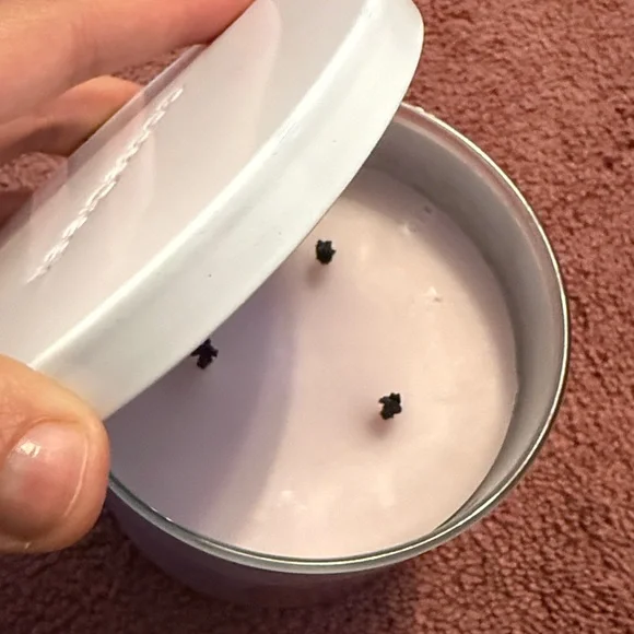 GooseCreek Candy Land Candle - Pink and White - Picture 2 of 3